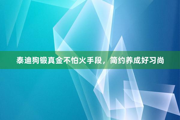 泰迪狗锻真金不怕火手段,简约养成好习尚