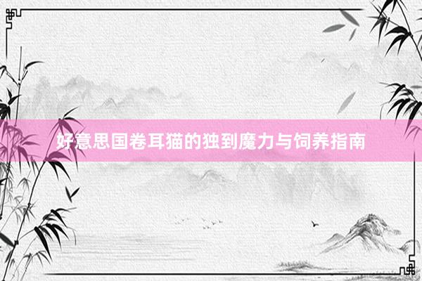 好意思国卷耳猫的独到魔力与饲养指南