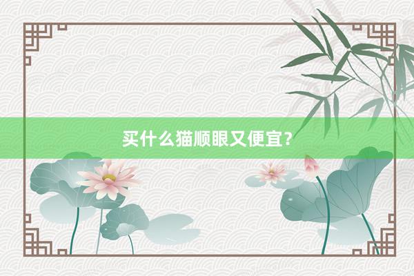 买什么猫顺眼又便宜？